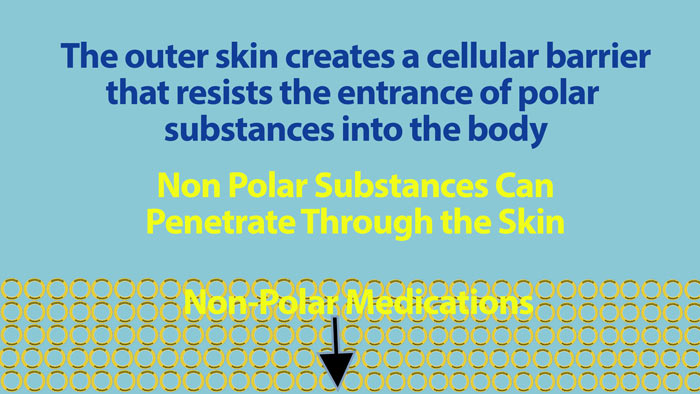 Why is polarity important? #2 - To help control the entrance of substances into the body.